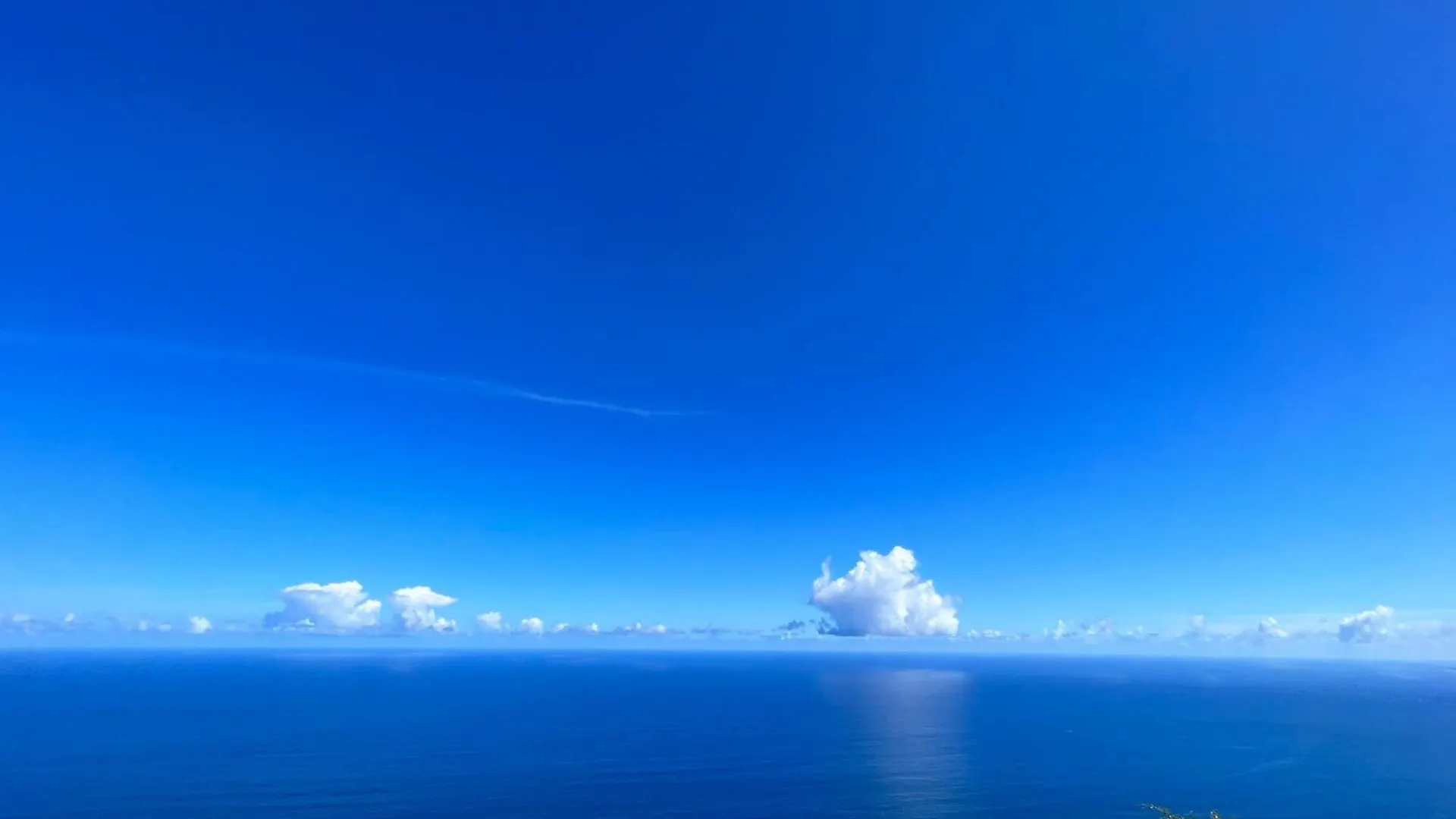 公寓 Calmar Tenerife 1 洛斯雷尔雷赫斯
